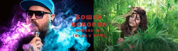 дмт Новозыбков