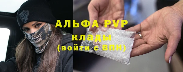 прущие крисы Новодвинск
