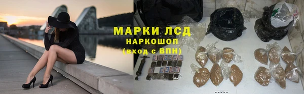 дмт Новозыбков