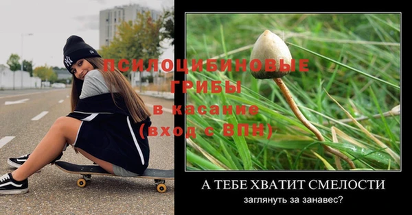 дмт Новозыбков