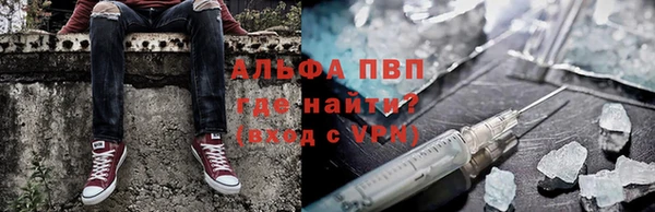 дмт Новозыбков