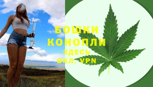 прущие крисы Новодвинск