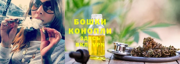 прущие крисы Новодвинск