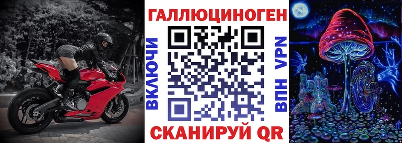магазин продажи наркотиков  Котово  Псилоцибиновые грибы Psilocybine cubensis 